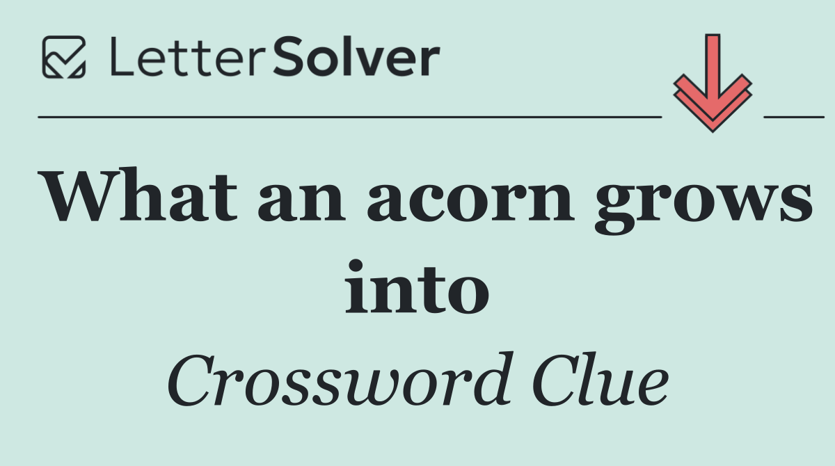 What an acorn grows into