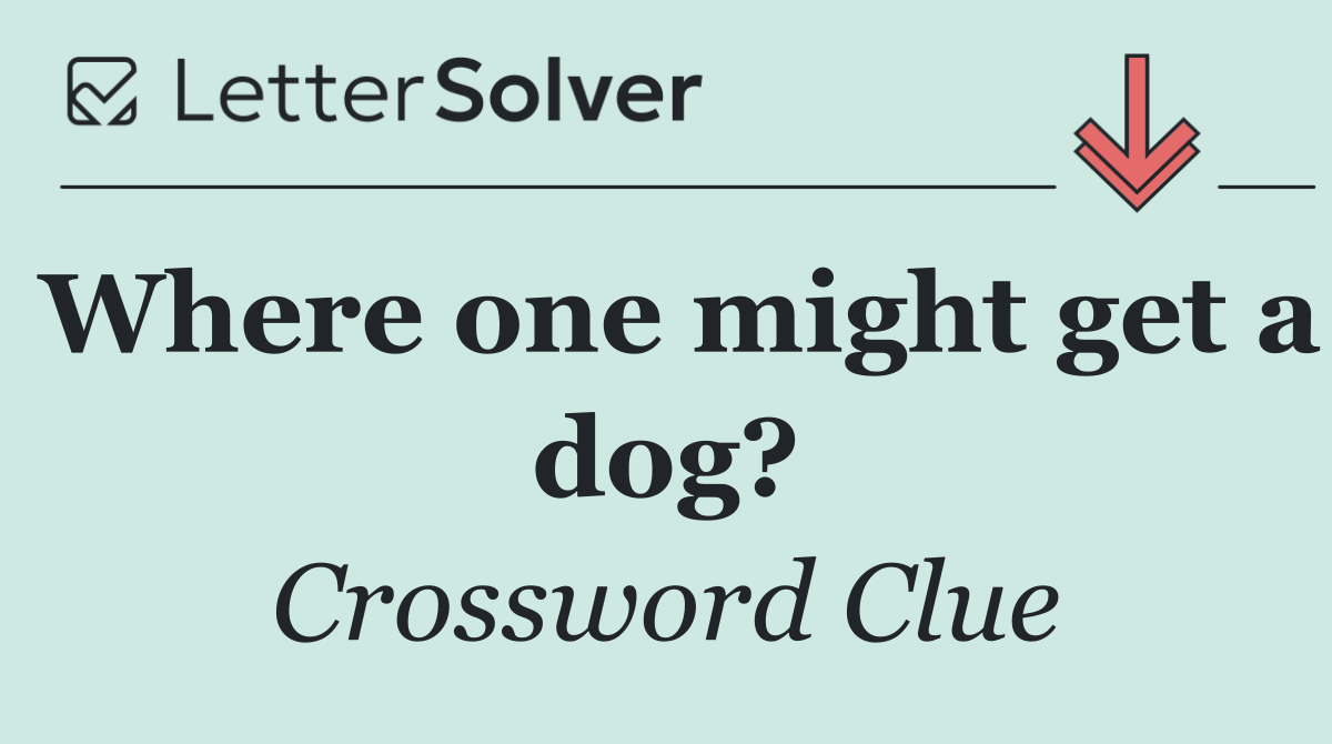 Where one might get a dog?