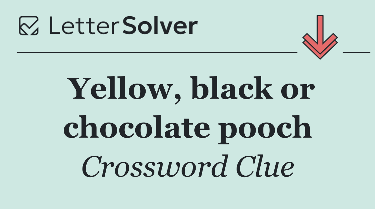 Yellow, black or chocolate pooch