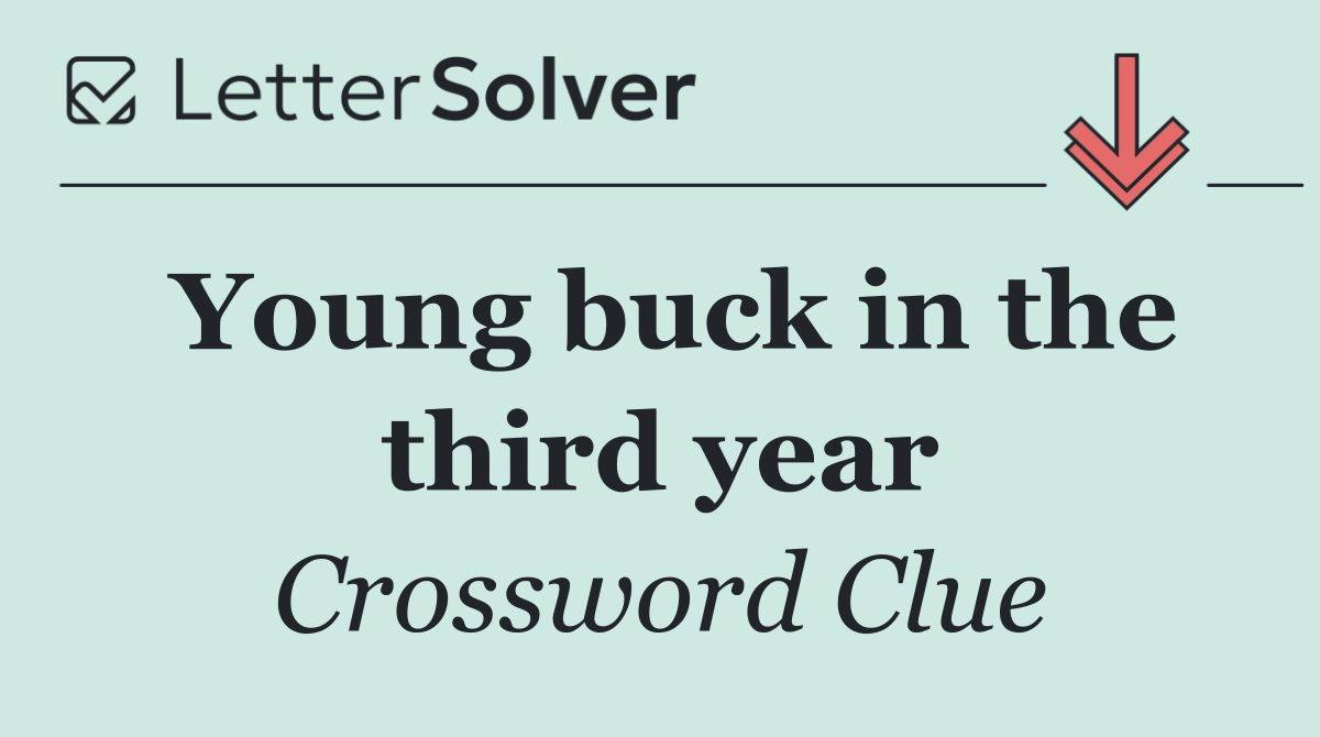 Young buck in the third year