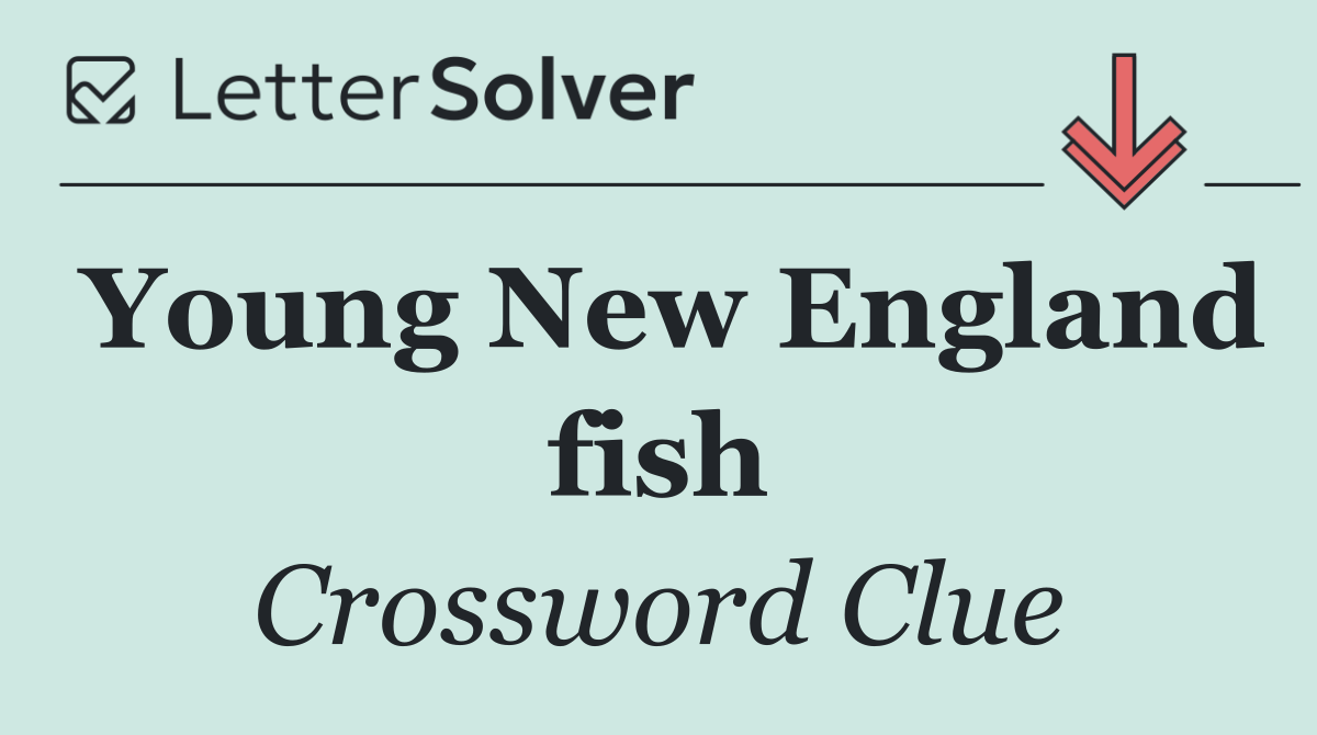 Young New England fish
