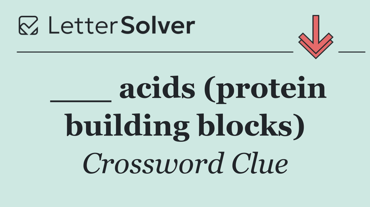___ acids (protein building blocks)