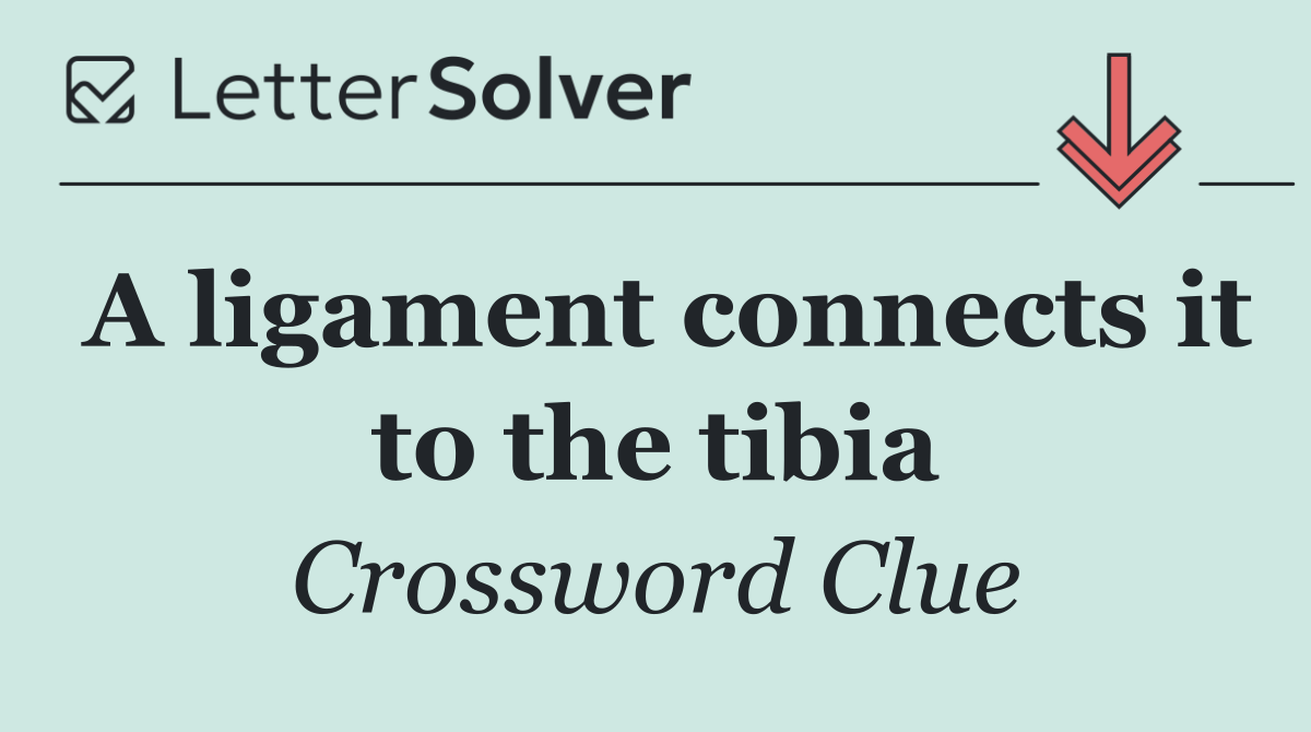 A ligament connects it to the tibia