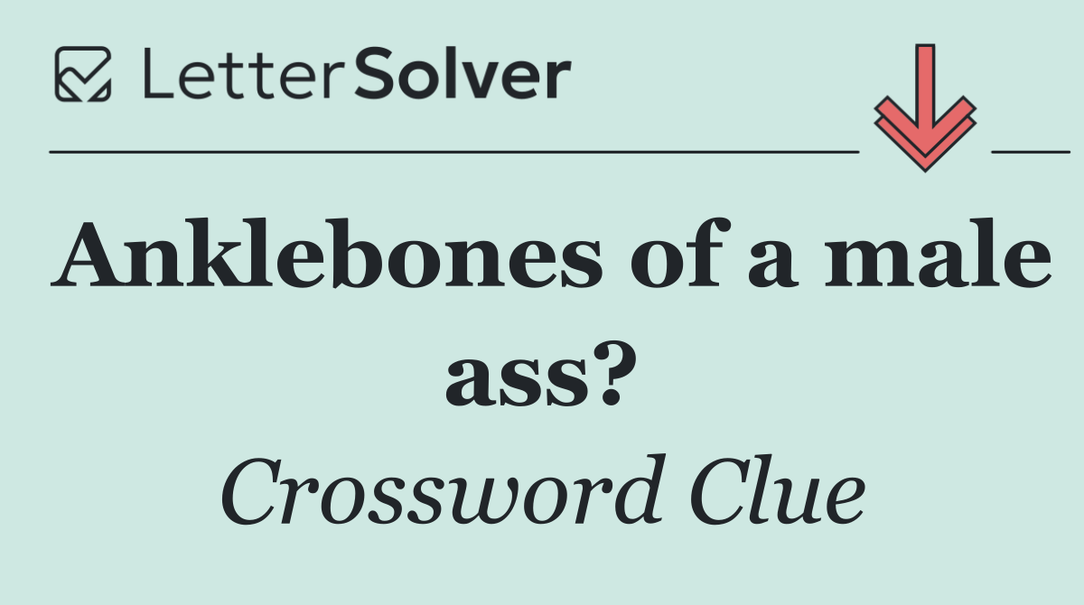 Anklebones of a male ass?