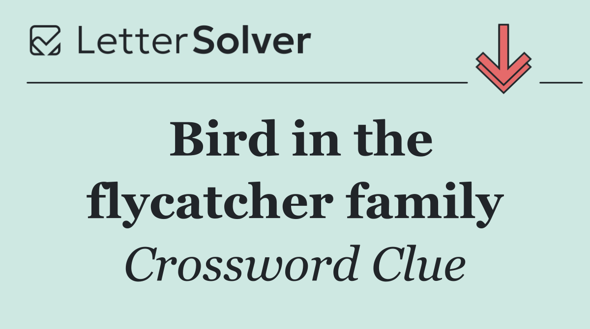 Bird in the flycatcher family