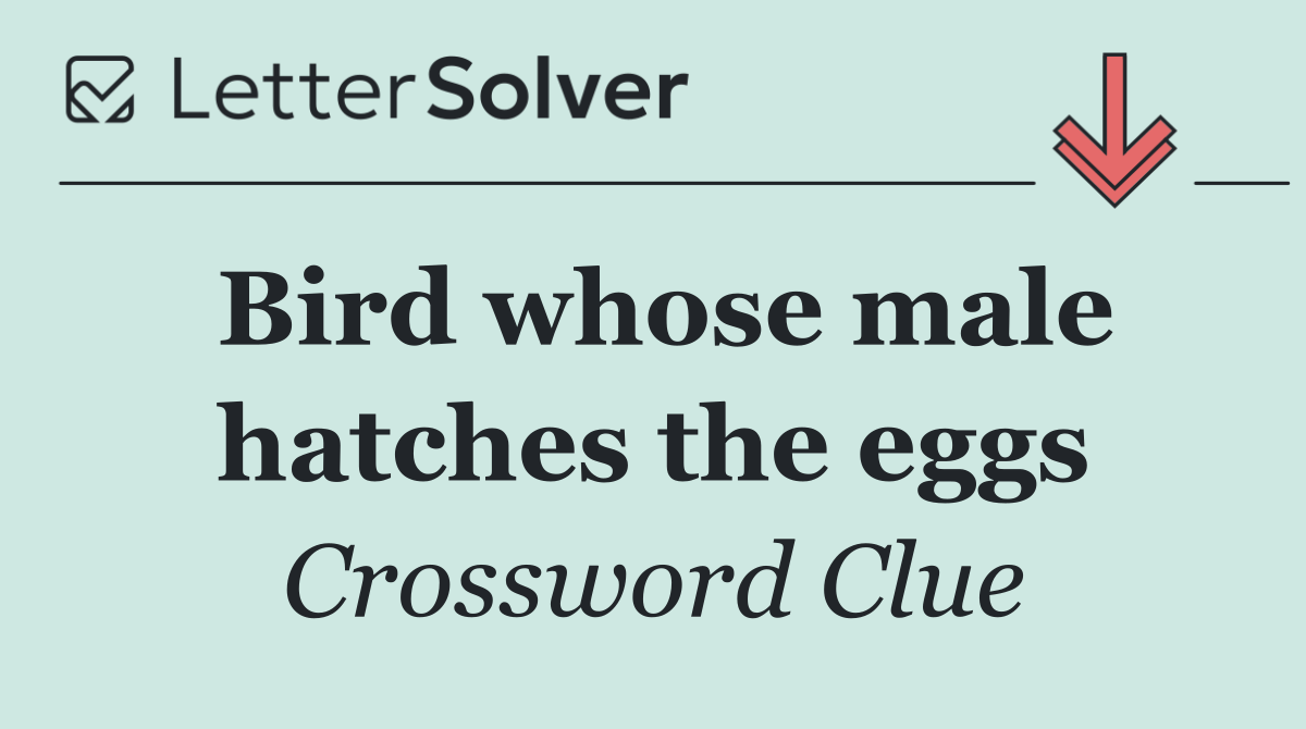 Bird whose male hatches the eggs
