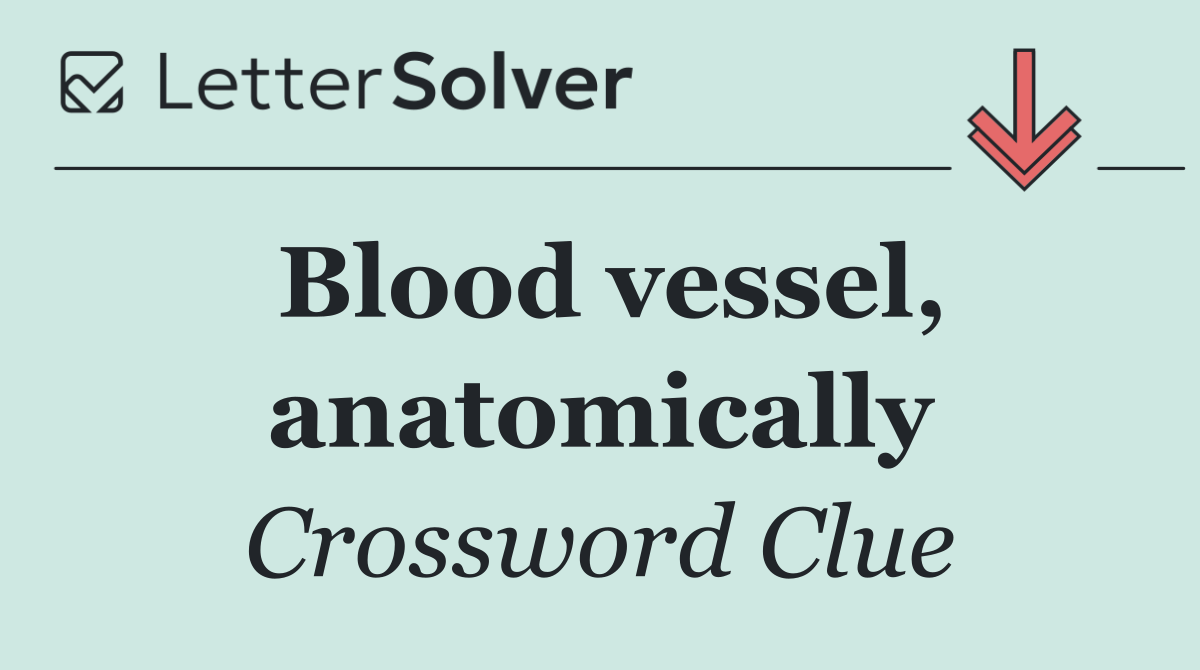 Blood vessel, anatomically
