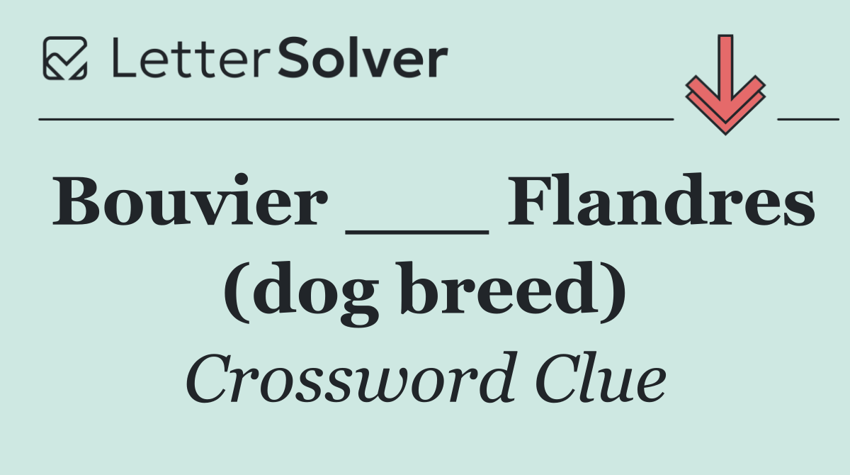 Bouvier ___ Flandres (dog breed)
