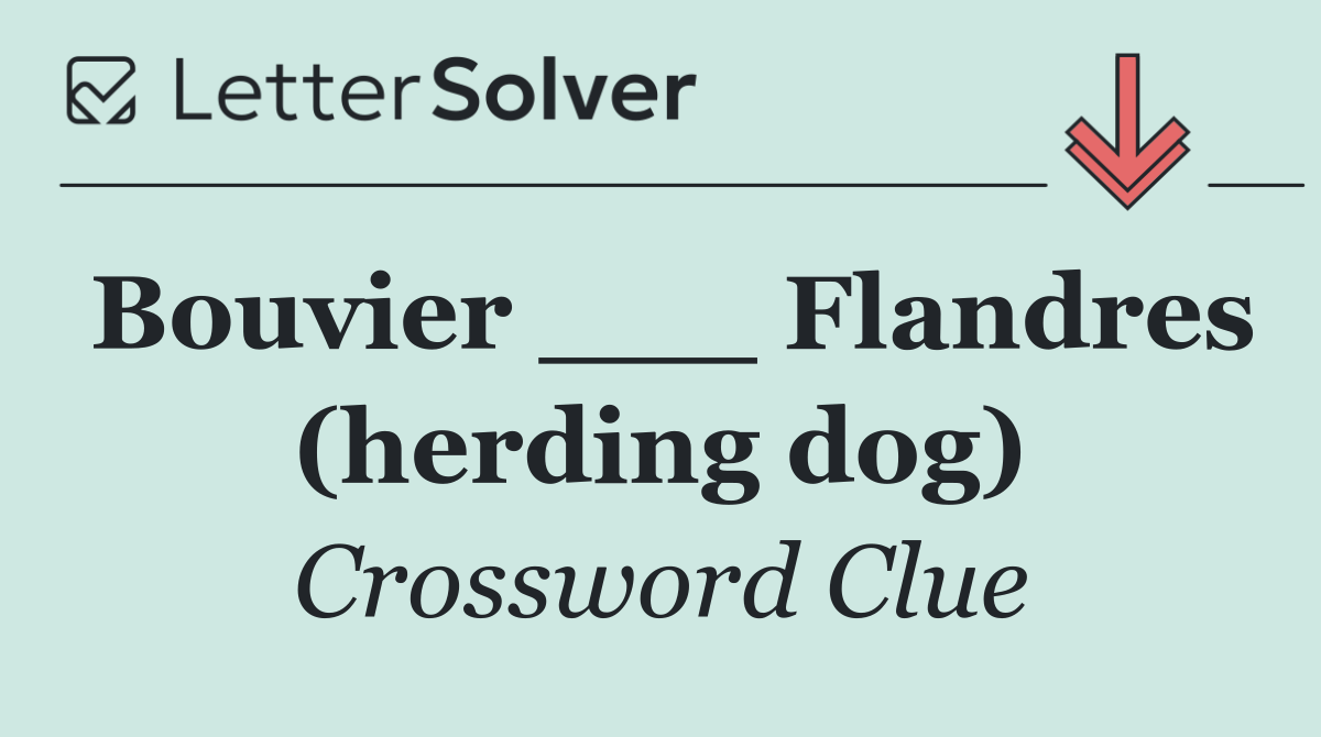 Bouvier ___ Flandres (herding dog)