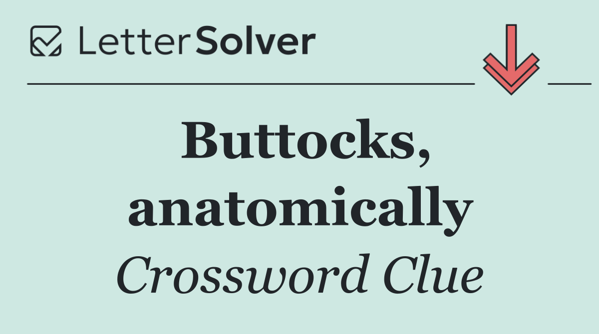 Buttocks, anatomically