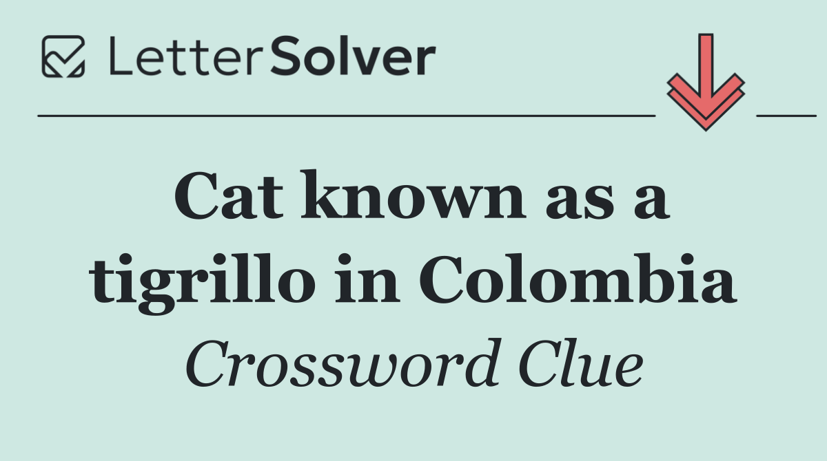 Cat known as a tigrillo in Colombia