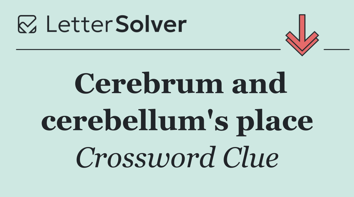 Cerebrum and cerebellum's place