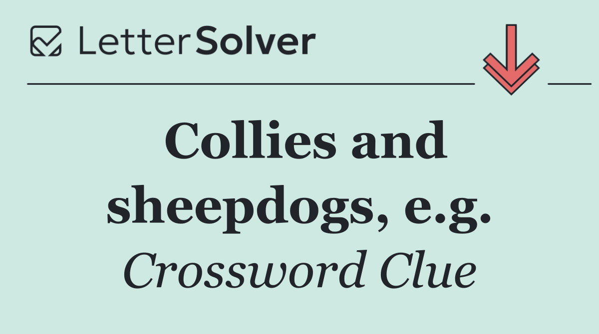 Collies and sheepdogs, e.g.