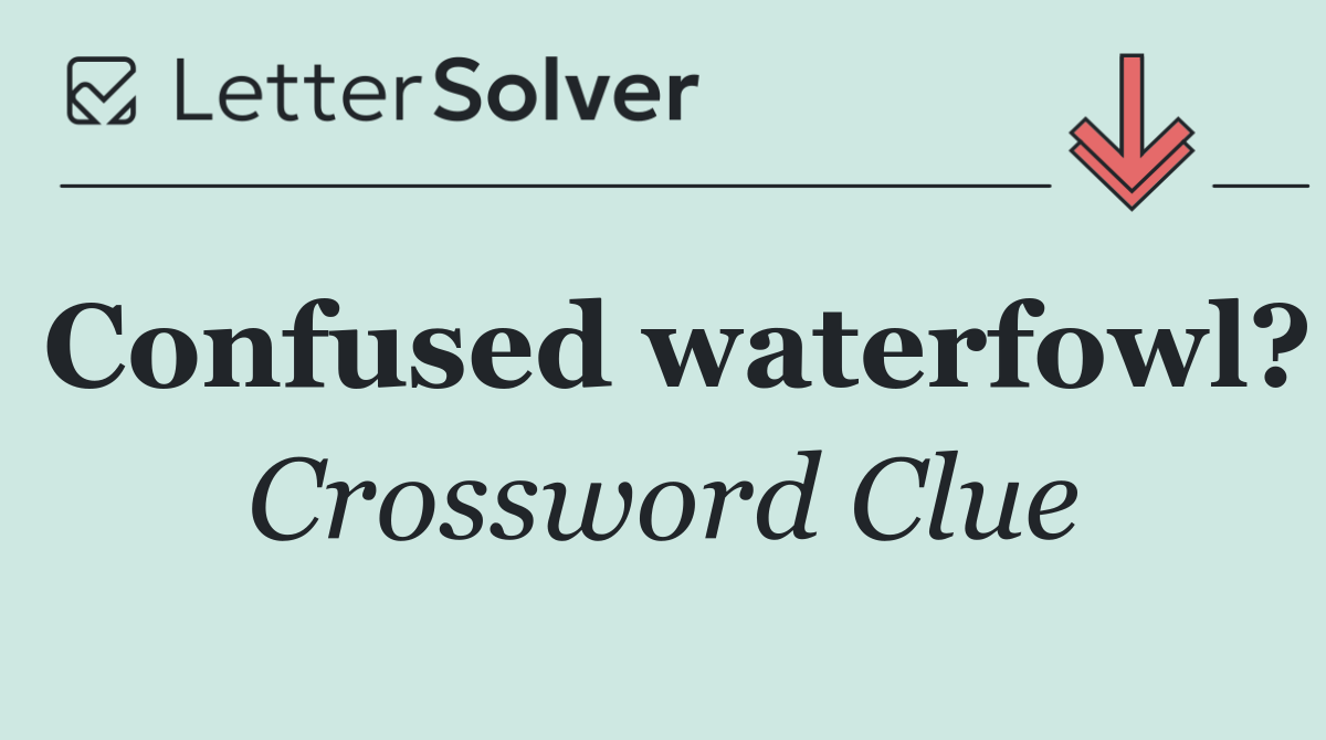 Confused waterfowl?