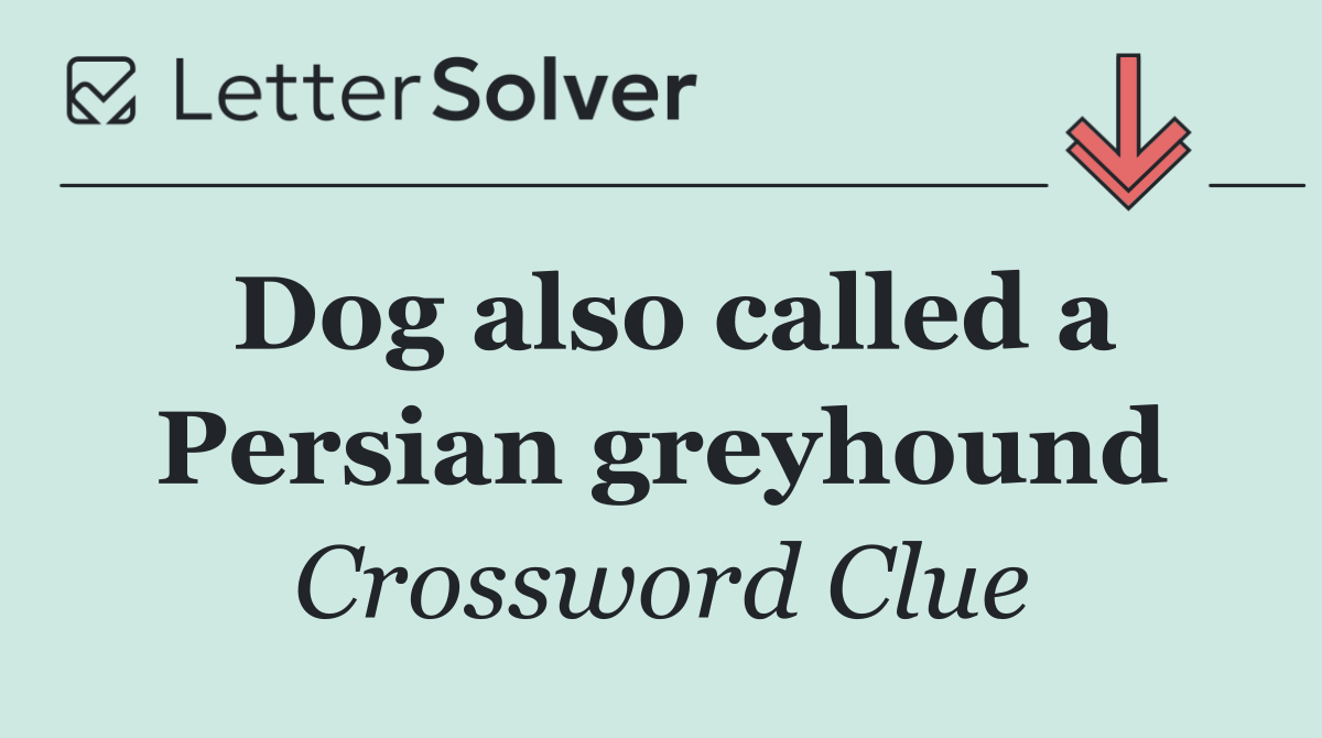 Dog also called a Persian greyhound
