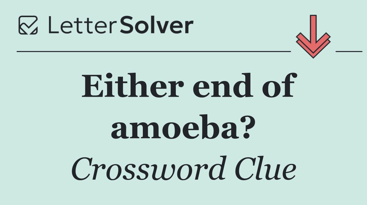 Either end of amoeba?