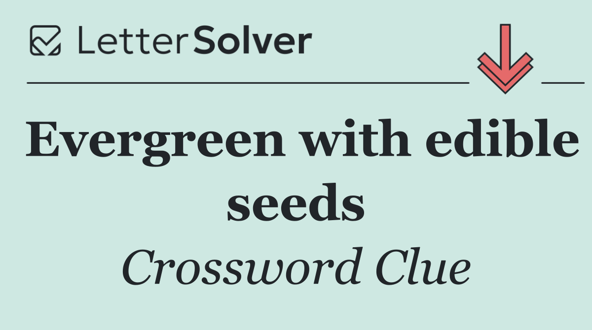 Evergreen with edible seeds