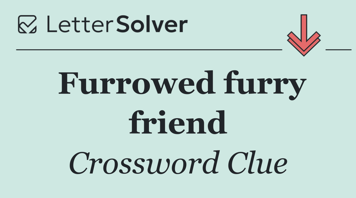 Furrowed furry friend