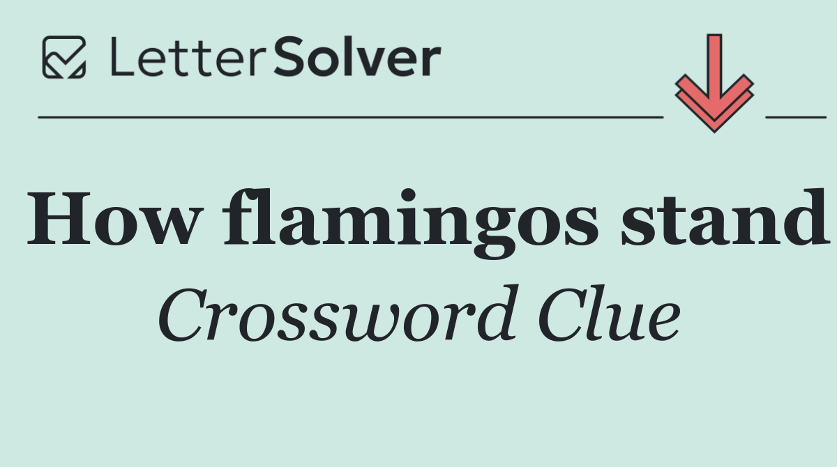 How flamingos stand
