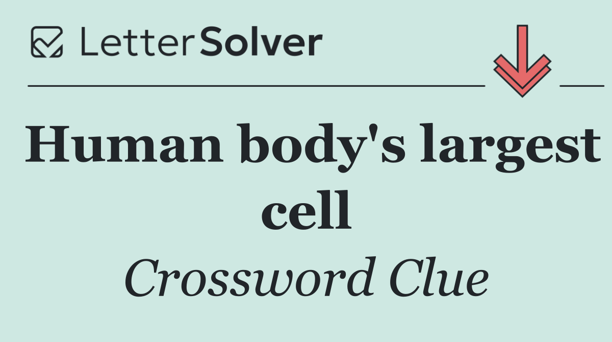 Human body's largest cell