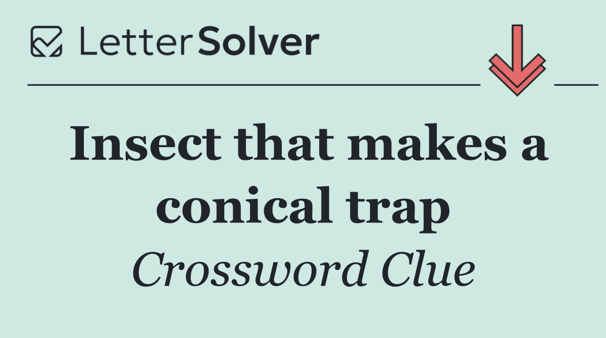 Insect that makes a conical trap