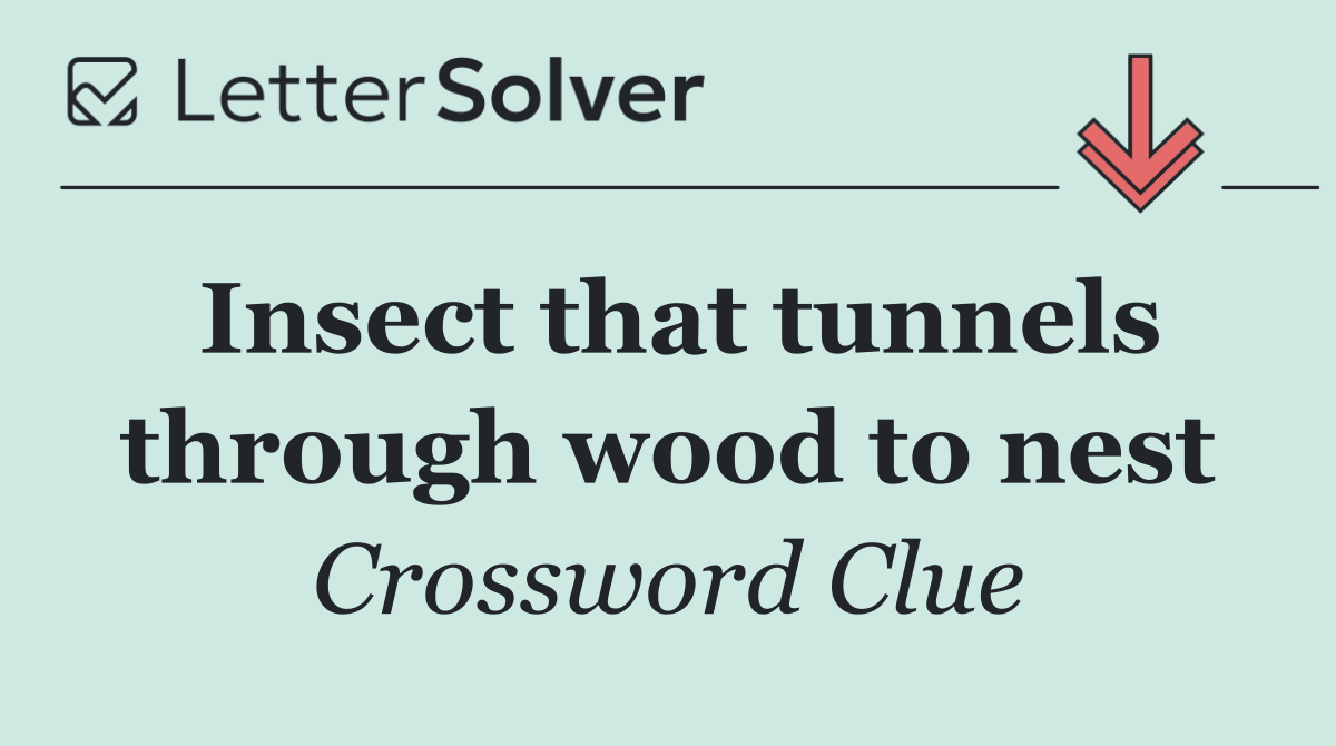 Insect that tunnels through wood to nest