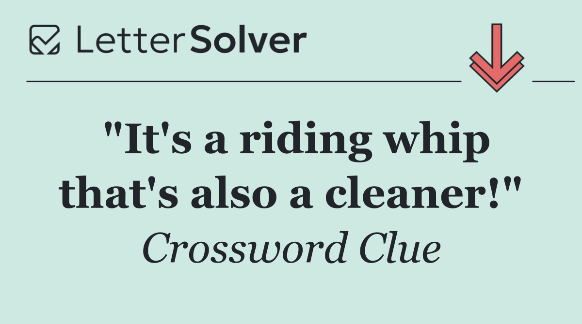 "It's a riding whip that's also a cleaner!"