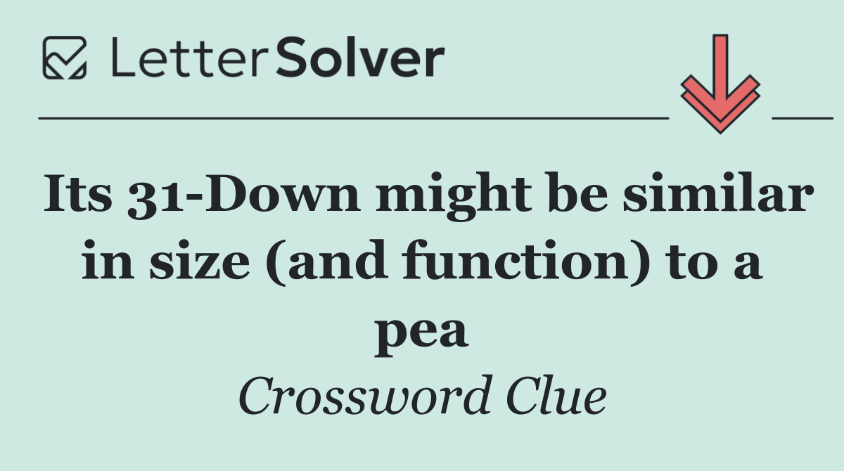Its 31 Down might be similar in size (and function) to a pea