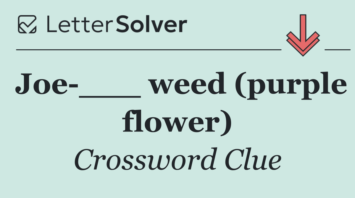 Joe ___ weed (purple flower)