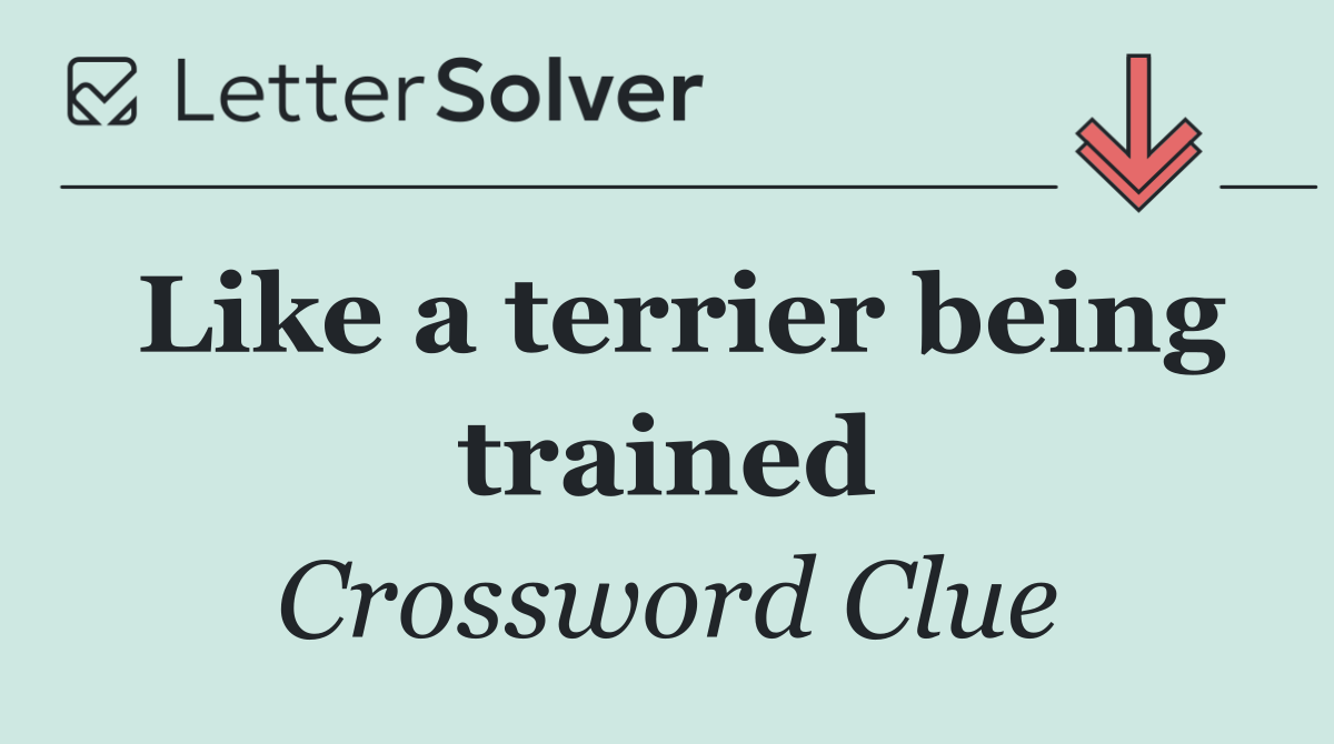 Like a terrier being trained