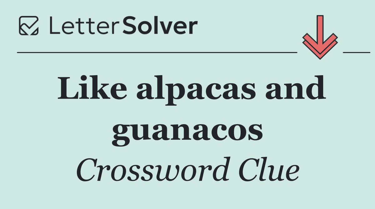 Like alpacas and guanacos
