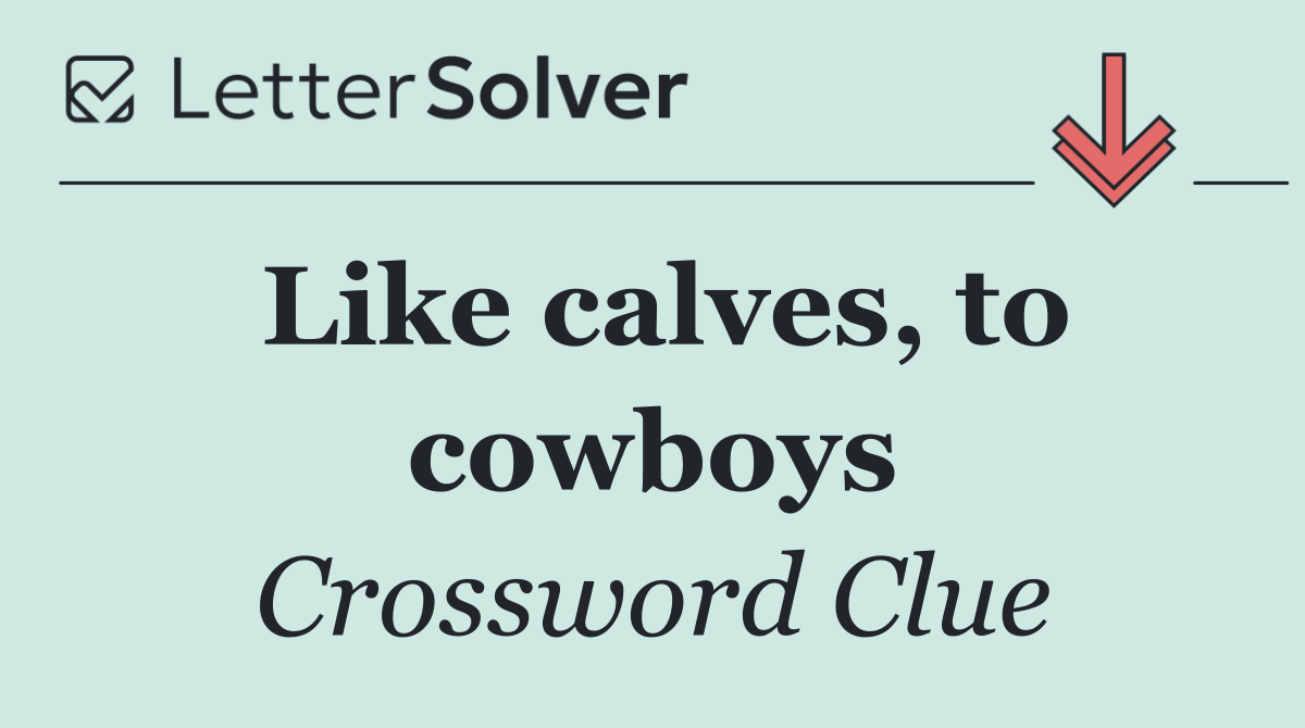 Like calves, to cowboys
