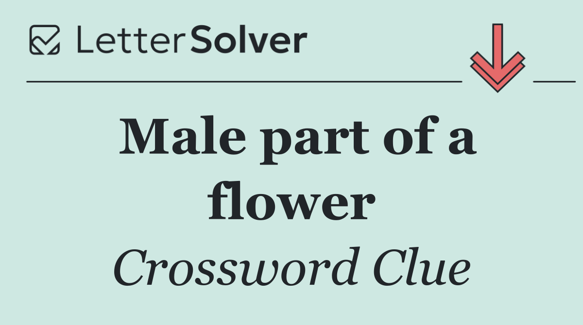 Male part of a flower