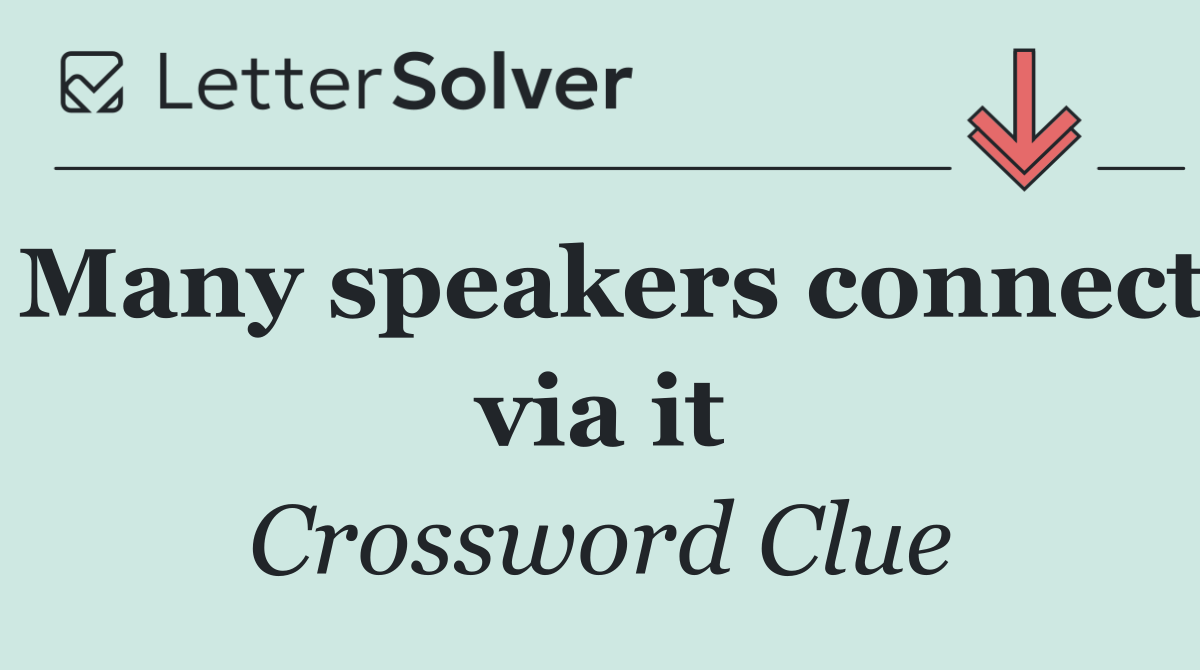 Many speakers connect via it