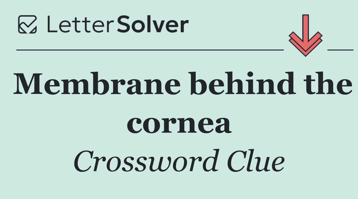 Membrane behind the cornea