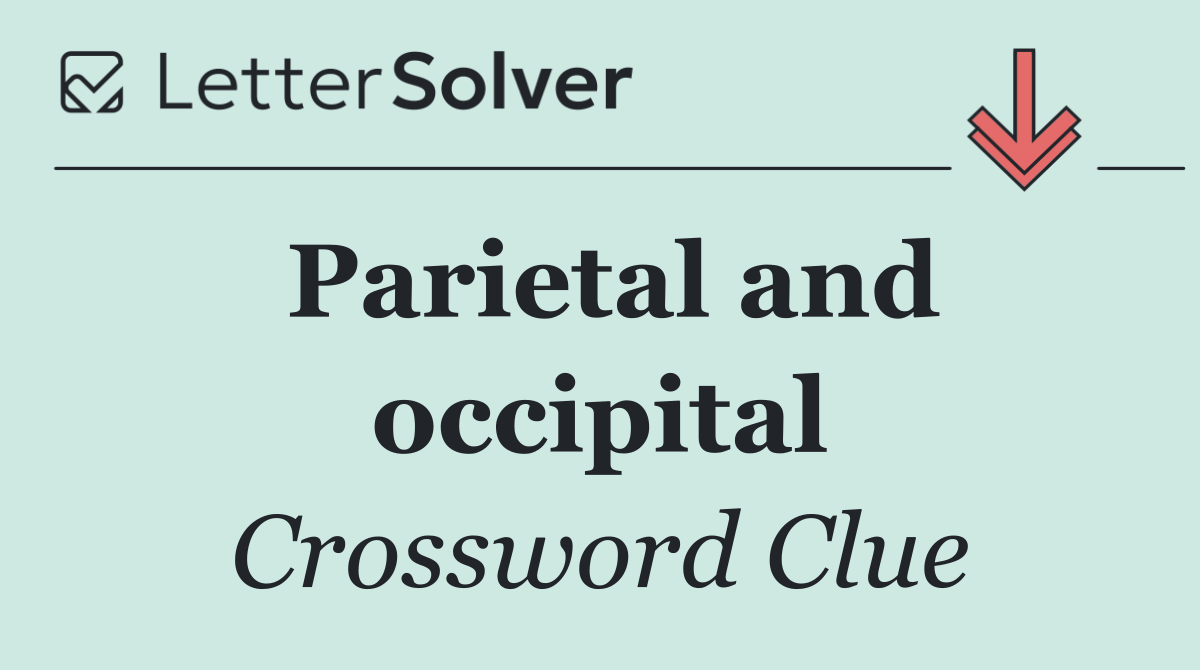 Parietal and occipital