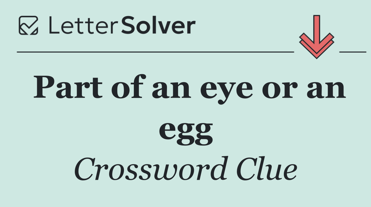 Part of an eye or an egg