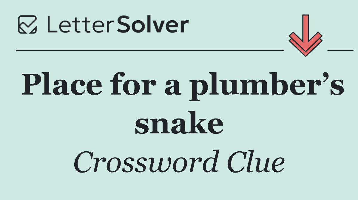 Place for a plumber’s snake