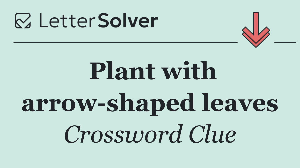 Plant with arrow shaped leaves