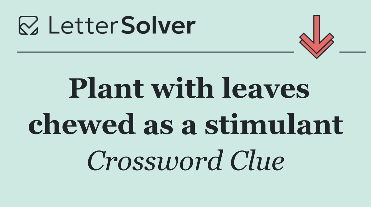 Plant with leaves chewed as a stimulant