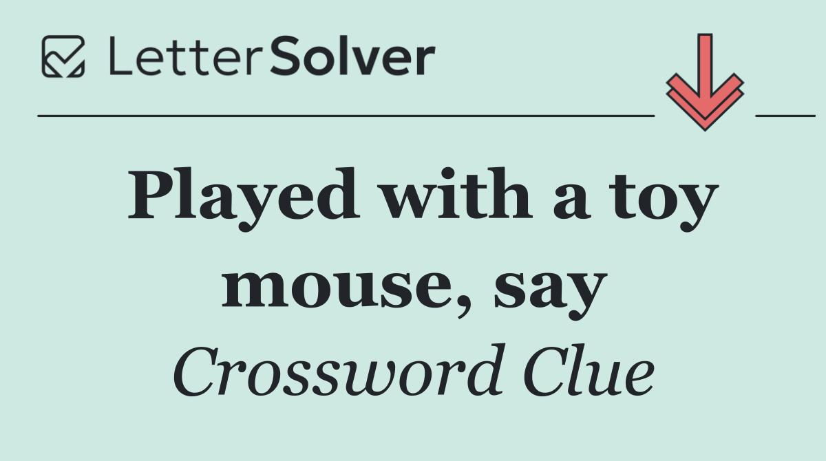 Played with a toy mouse, say