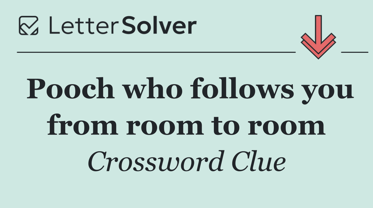 Pooch who follows you from room to room