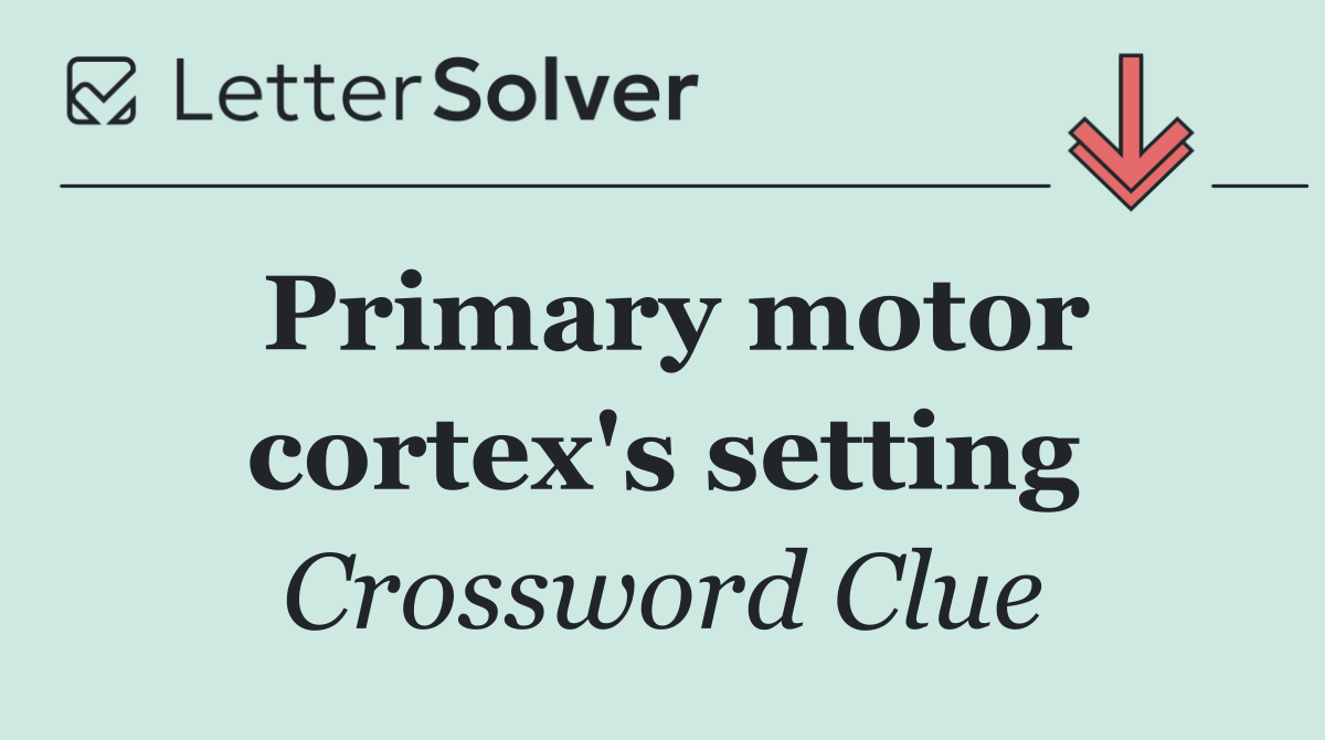 Primary motor cortex's setting