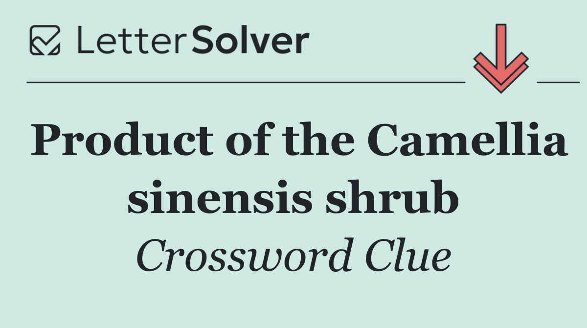 Product of the Camellia sinensis shrub