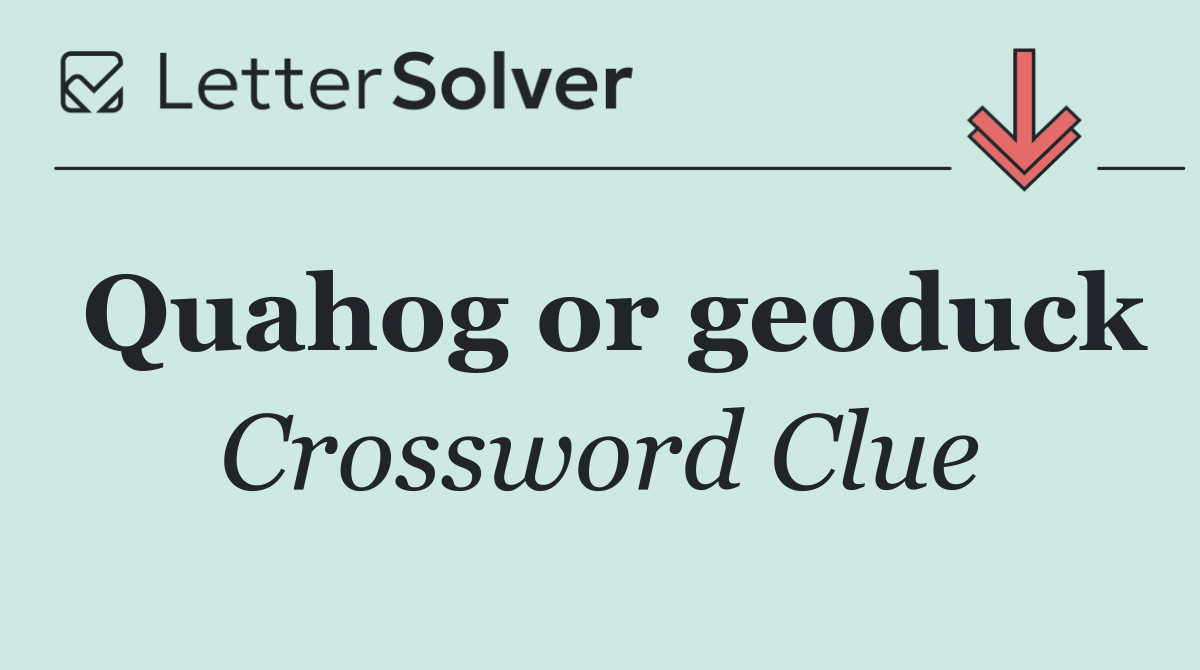 Quahog or geoduck