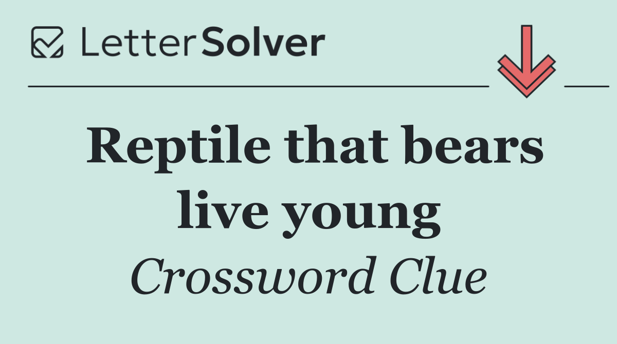 Reptile that bears live young