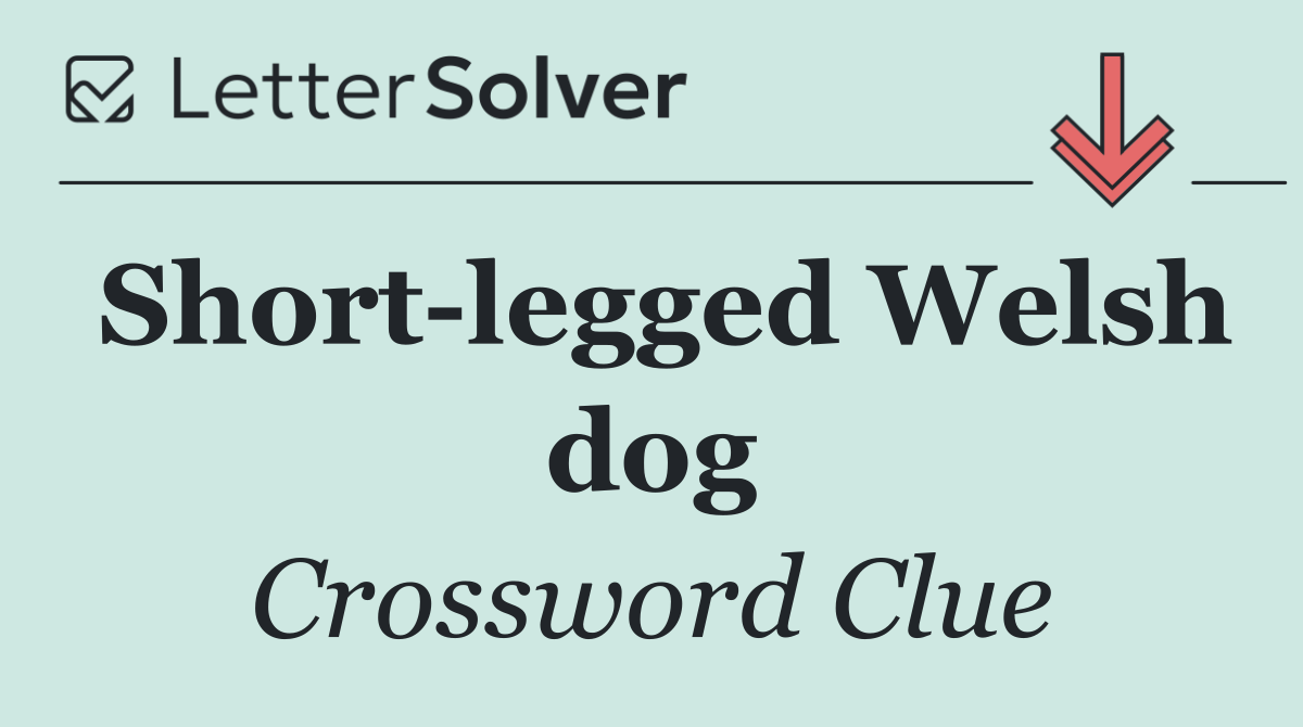 Short legged Welsh dog