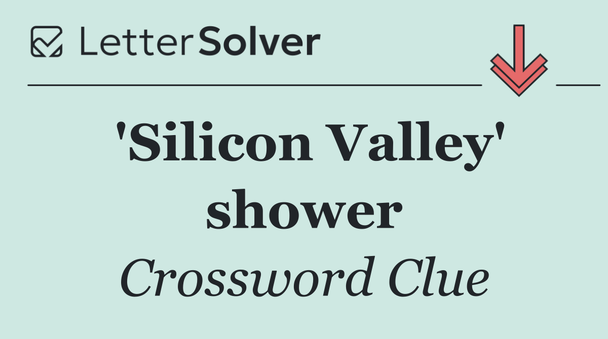 'Silicon Valley' shower