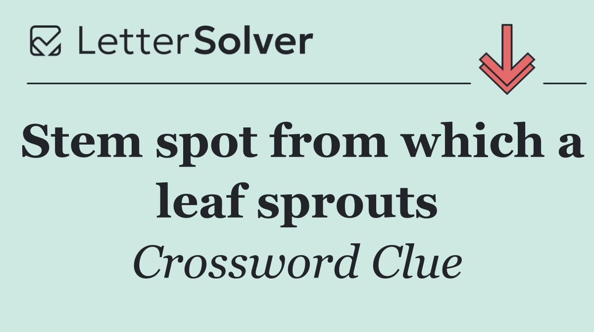 Stem spot from which a leaf sprouts