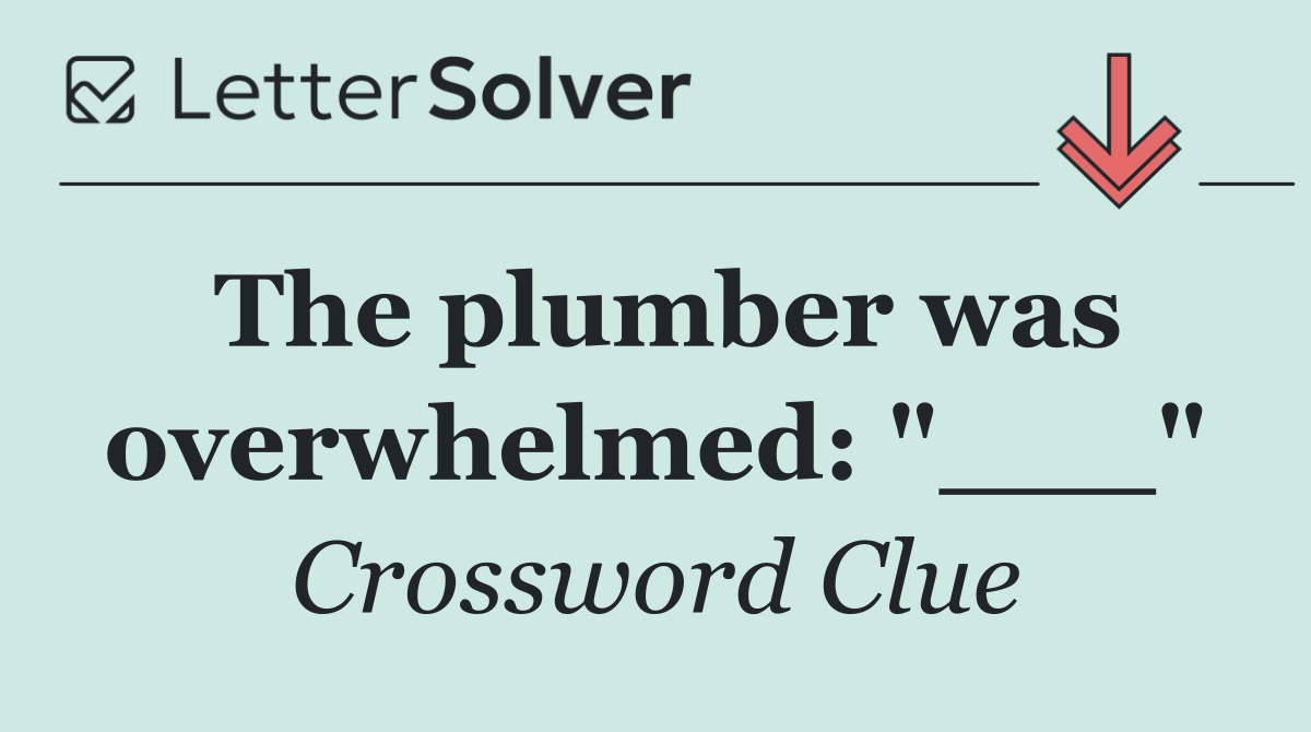 The plumber was overwhelmed: "___"